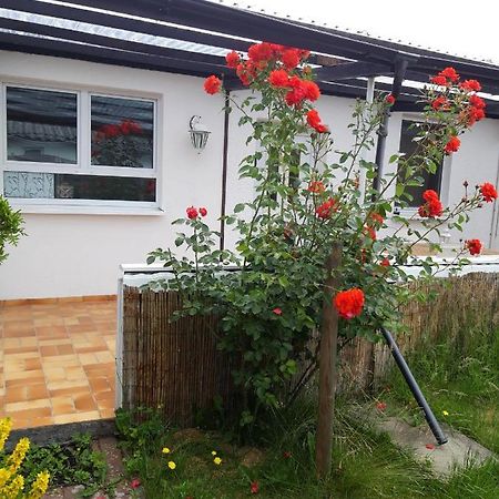 Bungalow Usedom Koserow المظهر الخارجي الصورة