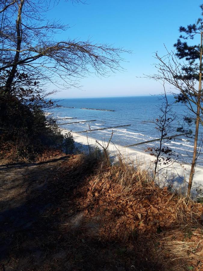 Bungalow Usedom Koserow المظهر الخارجي الصورة