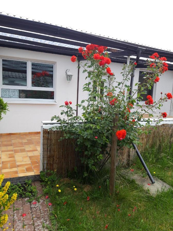 Bungalow Usedom Koserow المظهر الخارجي الصورة